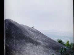 -火炉山森林公园