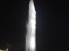 -人民防洪胜利纪念塔