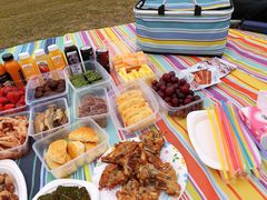 -春花秋色城市公园