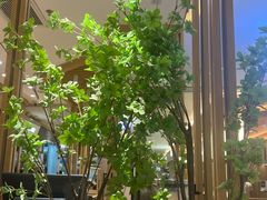 -马记永·兰州牛肉面(3019君尚店)