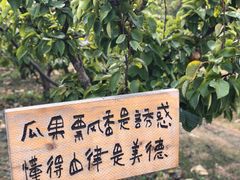 -大连北马山庄