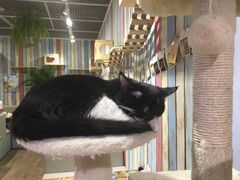 -小时光咖啡馆(开森度假森林店)