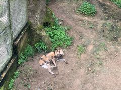 -宁波野生动物园