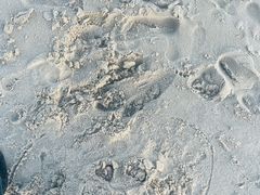 -汕头中海黄金海岸水上乐园