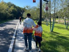 -金孔雀温泉旅游度假村