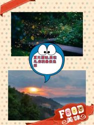 -麦粒鸟亲子游