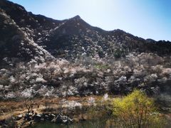 -碓臼峪自然风景区