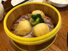 -潮福汇