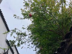 -传统手工面