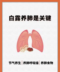 -雅曼妮spa美容养生