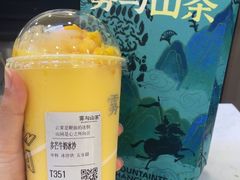 -雾与山茶(大禹城店)