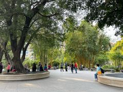 -晓港公园