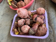 -云南木水花野生菌交易中心