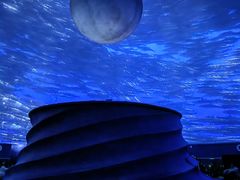 -上海海昌海洋公园