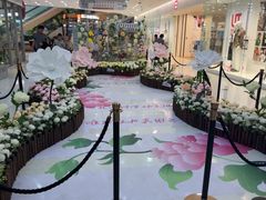 -万达广场(菏泽牡丹店)