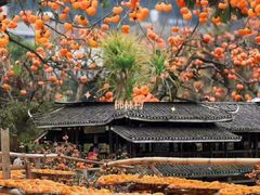 -丹山赤水风景名胜区