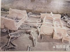 -洛阳周王城天子驾六博物馆