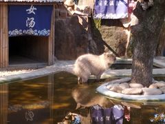 -无锡动物园·太湖欢乐园