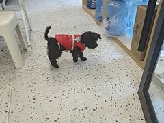 -瑞派康怡24h宠物医院·犬猫医疗中心·微创绝育(瑞景分院)