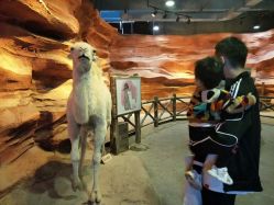 -酷嗒动物文化乐园(cutezoo西溪乐天城店)