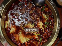 -受气牛肉·耙牛肉火锅(水晶郦城店)