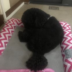 -杉惠素颜美妆皮肤管理中心