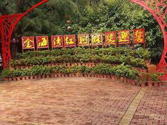 -北海金海湾红树林生态旅游区