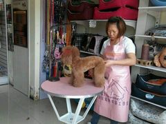 android_upload_pic-久久宠物(河东万达店)