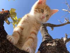 -CGWANG王氏教育(上海校区)