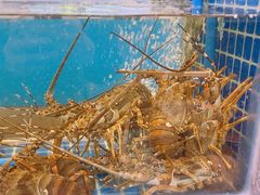-骏莱海鲜鱼港(五角场店)