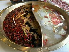 -杨家火锅(国美店)