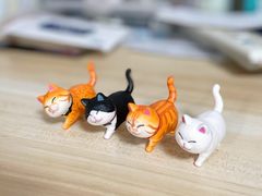 -Catmate·猫肥家润(金润铂宫店)