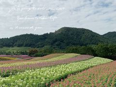 -径山花海
