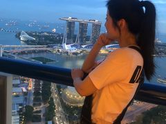 -新加坡瑞士史丹福酒店