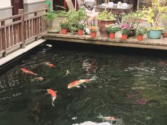 -华庭苑农家乐(旺山店)
