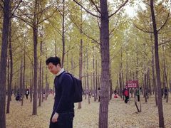 -汉景帝阳陵博物院