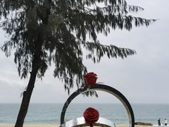 -玫瑰海岸文化旅游度假区