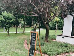 -新虹桥中心花园