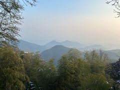 -莫干山风景区