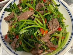 -壹盏灯(惠农店)