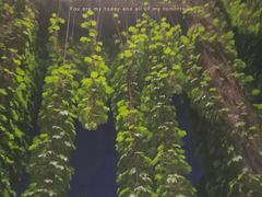 -澳珀食堂