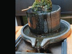 -红糖水都·女生特炖·中式滋补炖(北辰店)