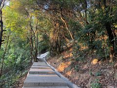 -火炉山森林公园