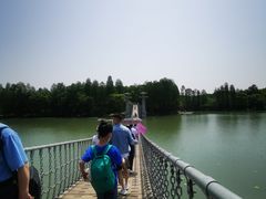 -东湖落雁景区