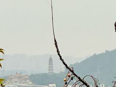 -佛山华盖山公园