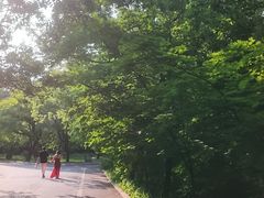 -沈阳植物园
