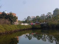 -成都南湖公园