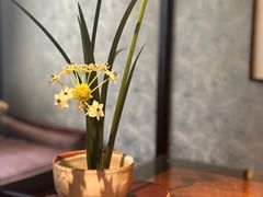 -31号公馆(黄兴广场白果园店)