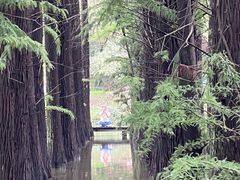 -采石矶景区