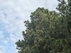 -艾溪湖湿地公园